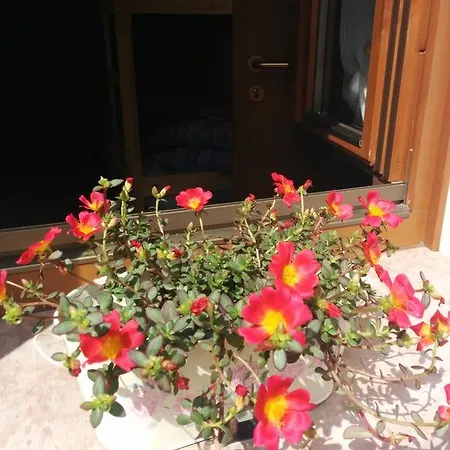 Holiday home Casetta Next To The Creek Dino Buzzati Belluno